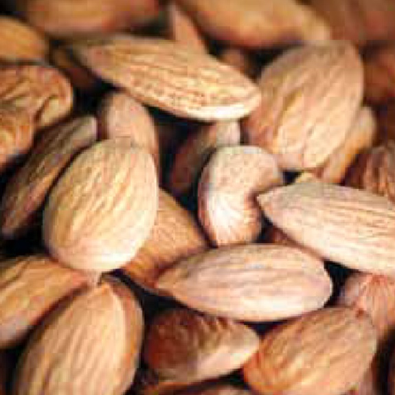 Almond 'All In One' Almond 'All In One'