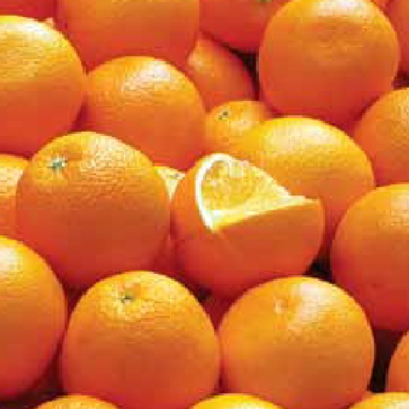 Citrus orange 'Seville' Citrus orange 'Seville'