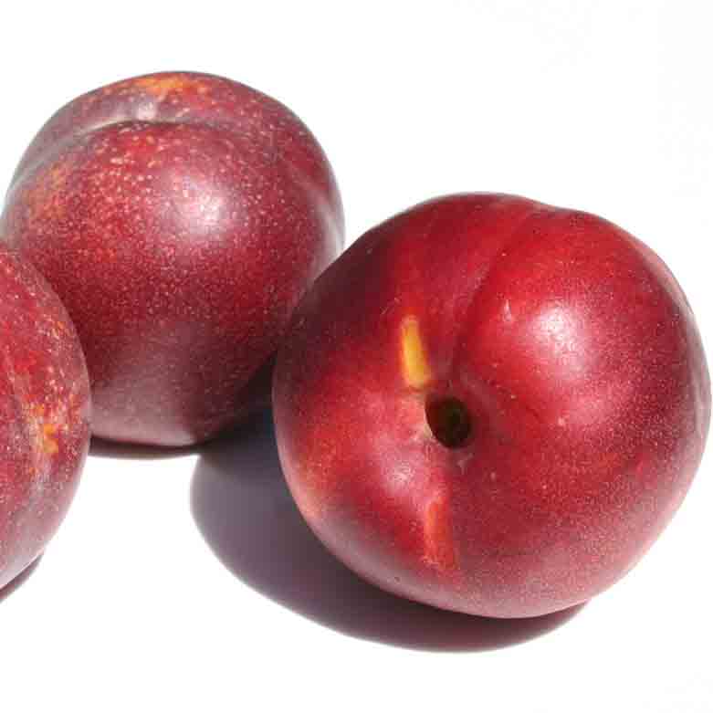 Nectarine 'Ruby Diamond'