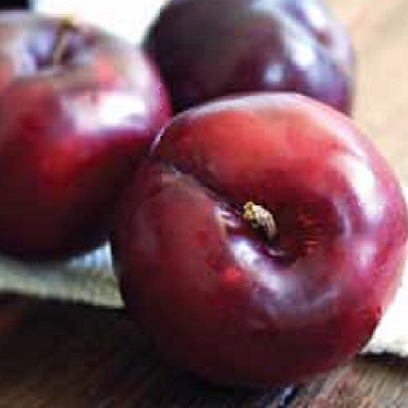 Plum 'Hawera'