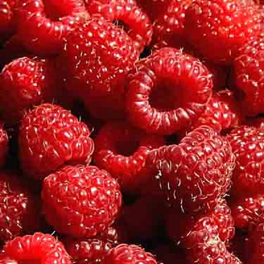 Raspberry 'Heritage'