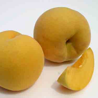 Peach 'Golden Tatura'